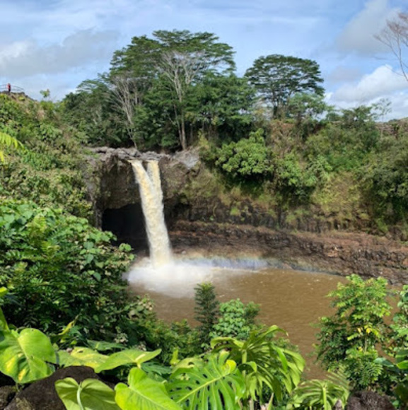 Meet your Posher, Maya - Picture 1 of 1